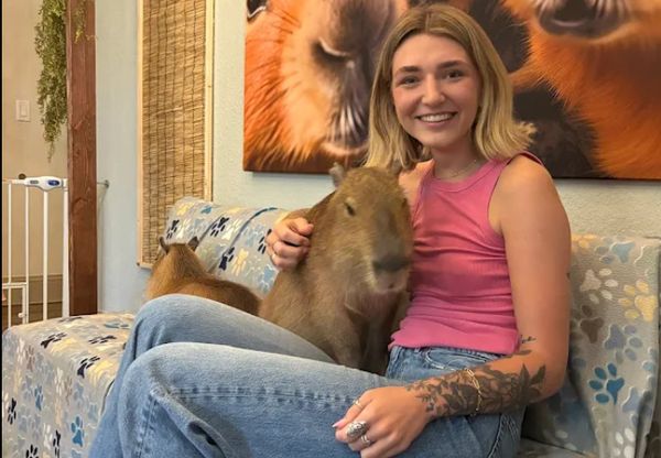 Capybara Café in St. Pete, Florida — A Family-Friendly Guide to Visiting