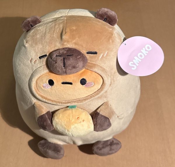 A Capybara in a Potato Costume — Smoko's Tayto Mochi Plush on eBay