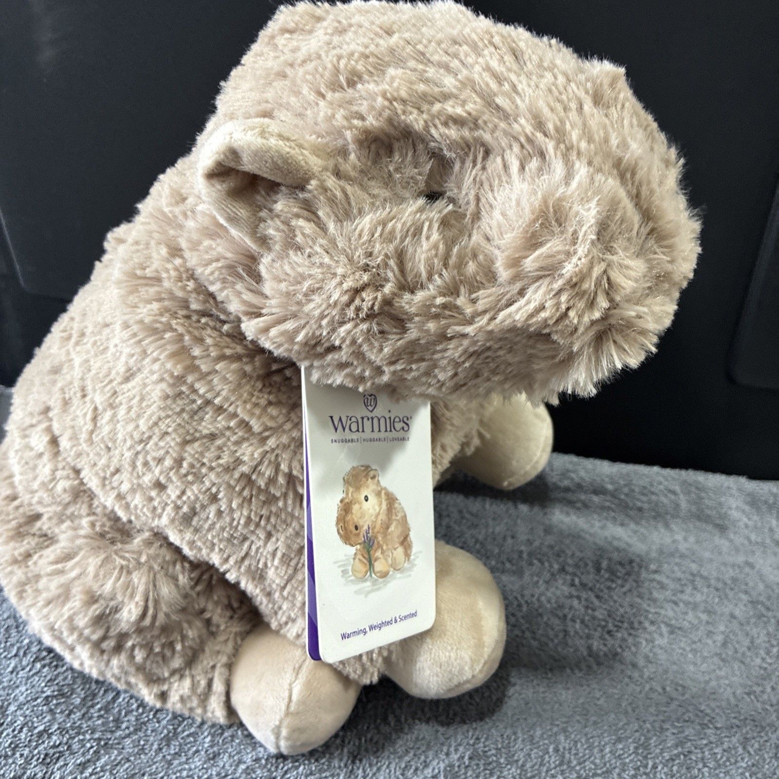 60 Seconds to Warm, Two Hours to Chill — Warmies Capybara on eBay