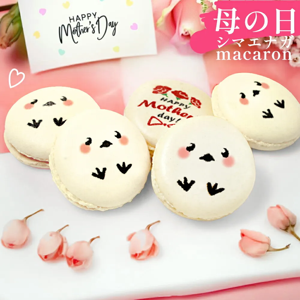 アニマルマカロン♡シマエナガ&ぶた カーネーションとシマエナガで「ありがとう」。母の日ぴったりの